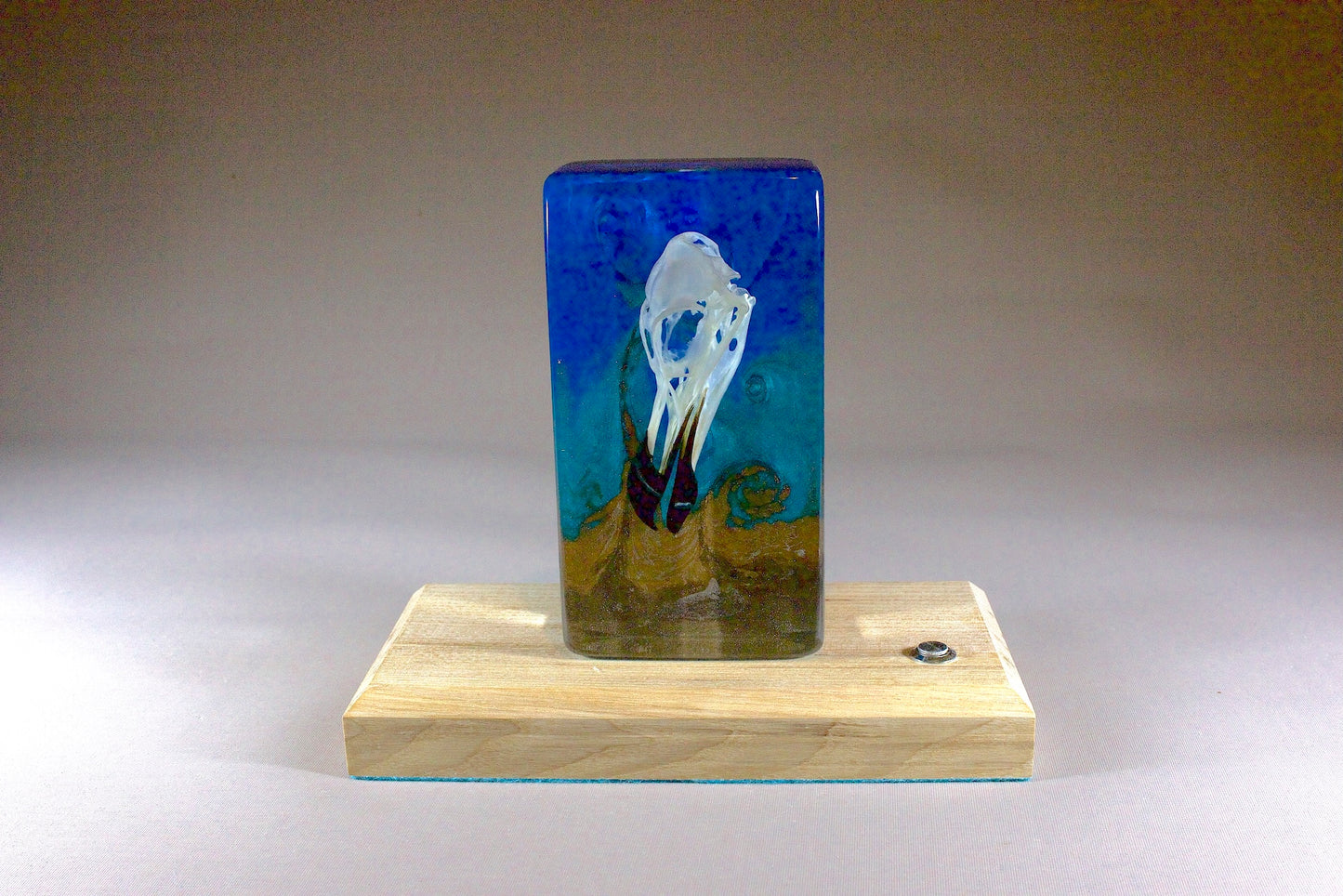 Bird skull in resin against a turbulent blue background with a timber base