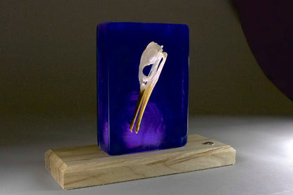 Bird in the Deep