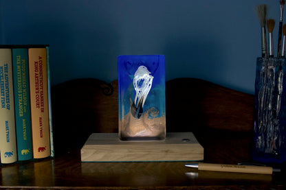Razorbill skull in resin . Set against a turbulent blue background on a timber base