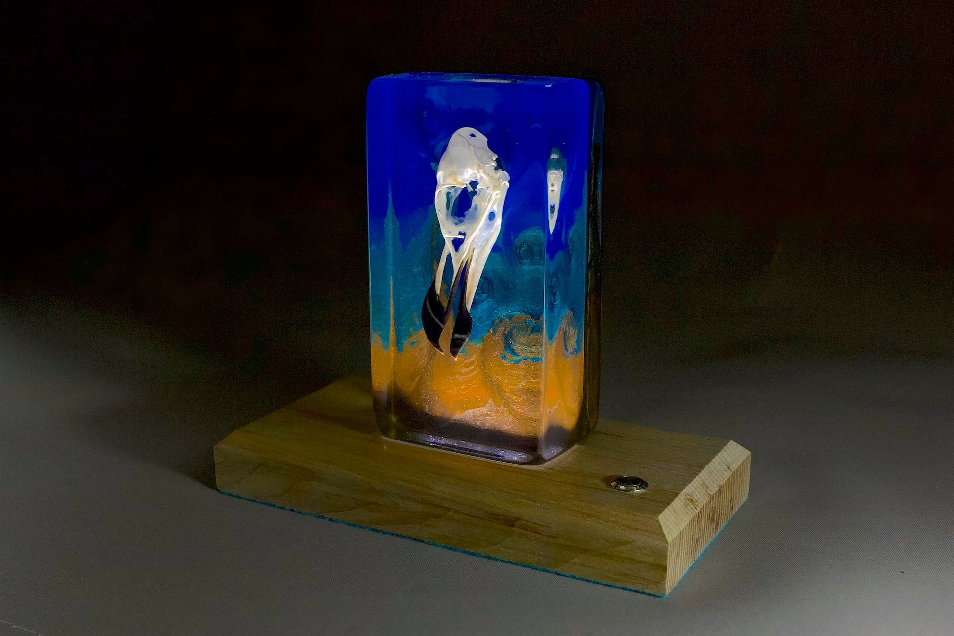 Bird skull in resin against a turbulent blue background with a timber base