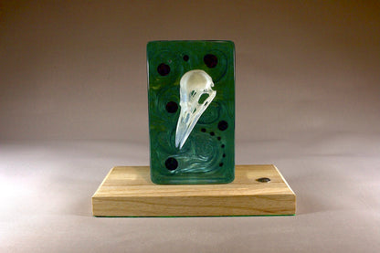 Bird skull in resin. Illuminated against a rich violet background. On a timber base