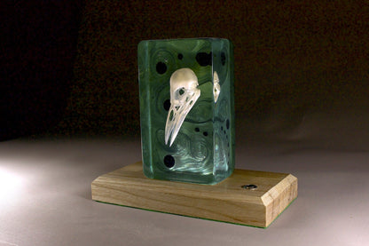 Bird skull in resin. Illuminated against a rich violet background. On a timber base