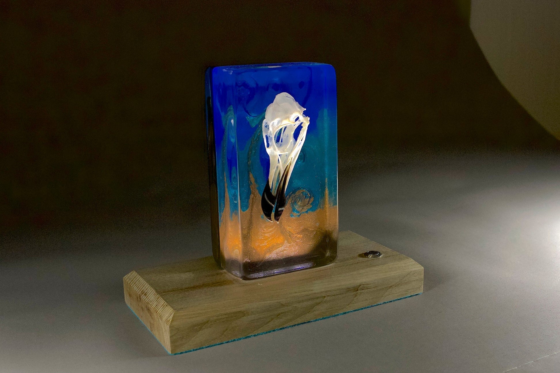 Bird skull in resin against a turbulent blue background with a timber base