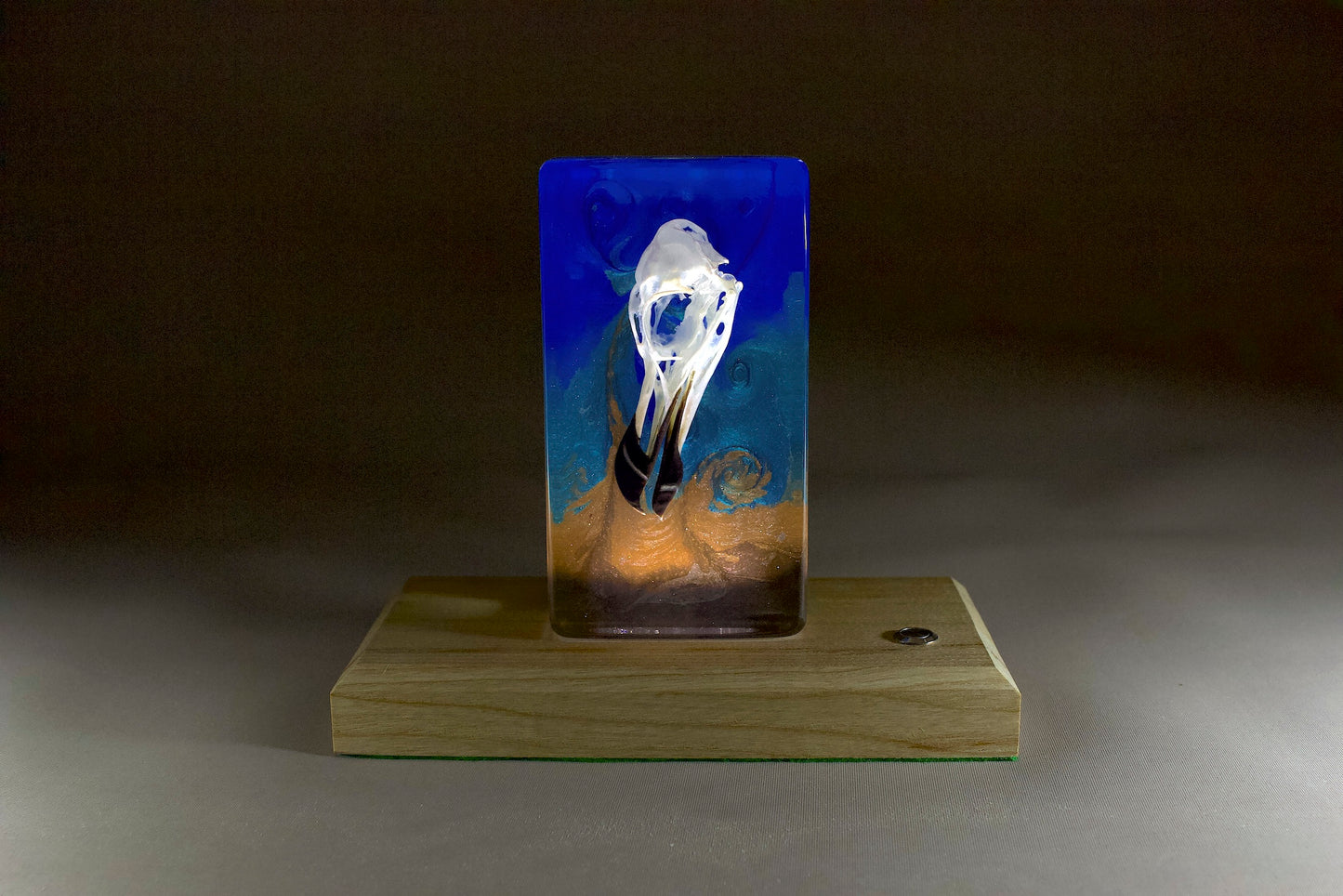 Bird skull in resin against a turbulent blue background with a timber base