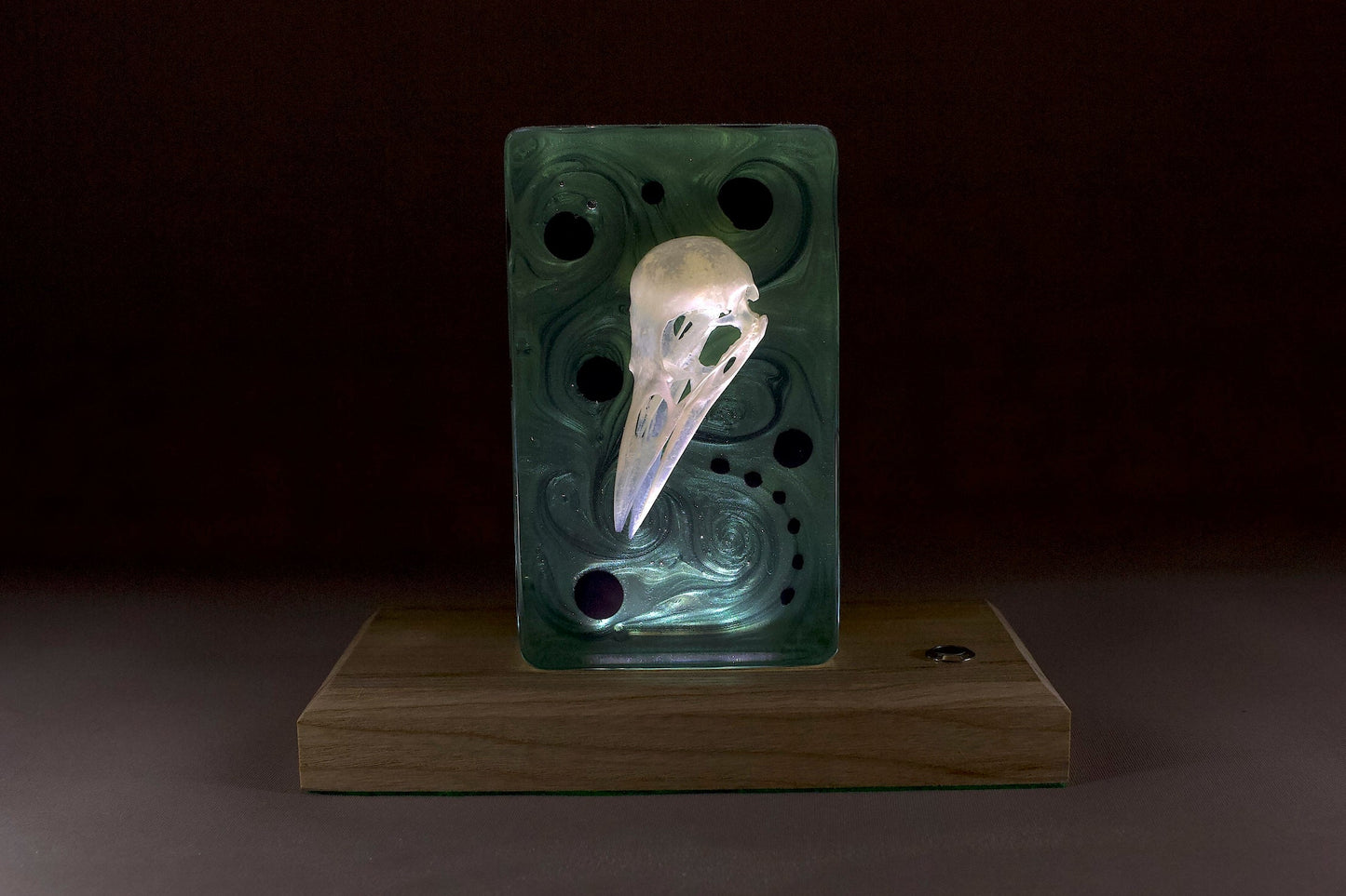 Bird skull in resin. Illuminated against a rich green background. On a timber base