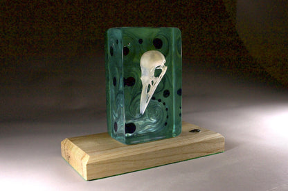 Bird skull in resin. Illuminated against a rich violet background. On a timber base