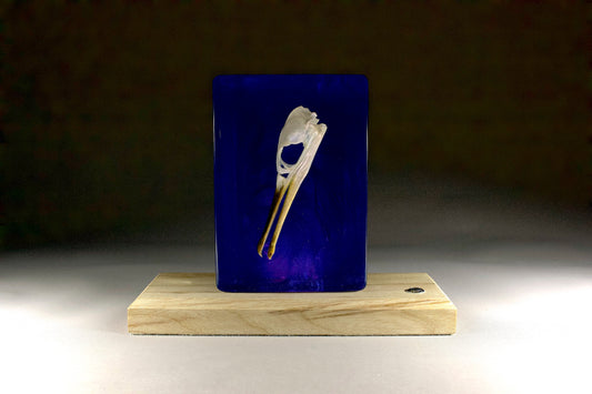 Bird skull in resin. Illuminated against a rich violet background. On a timber base