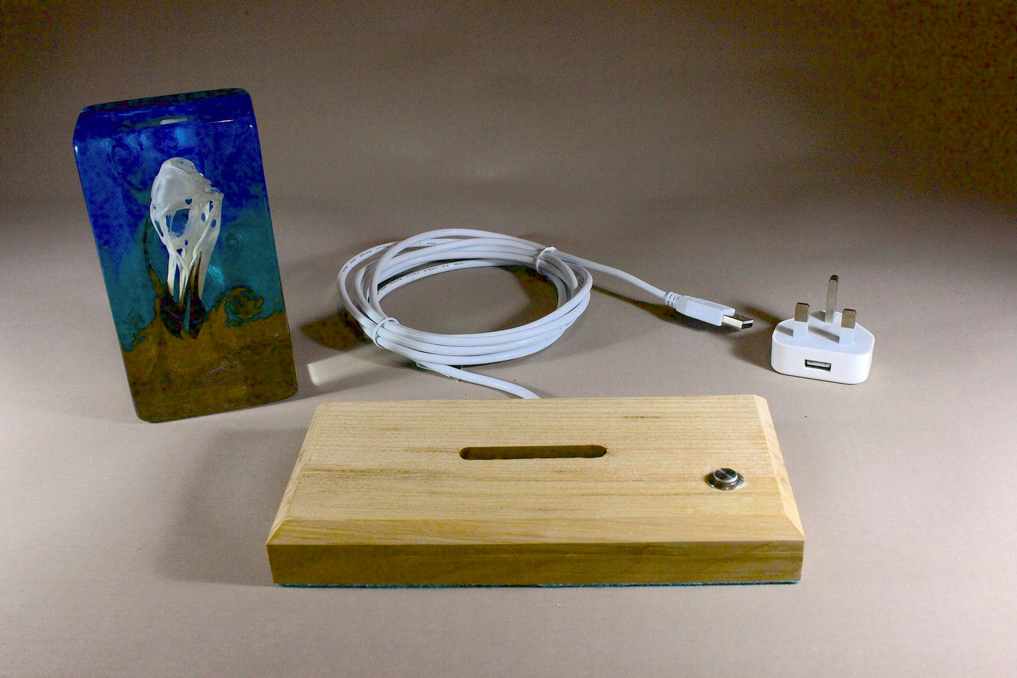 Bird skull in resin against a turbulent blue background with a timber base