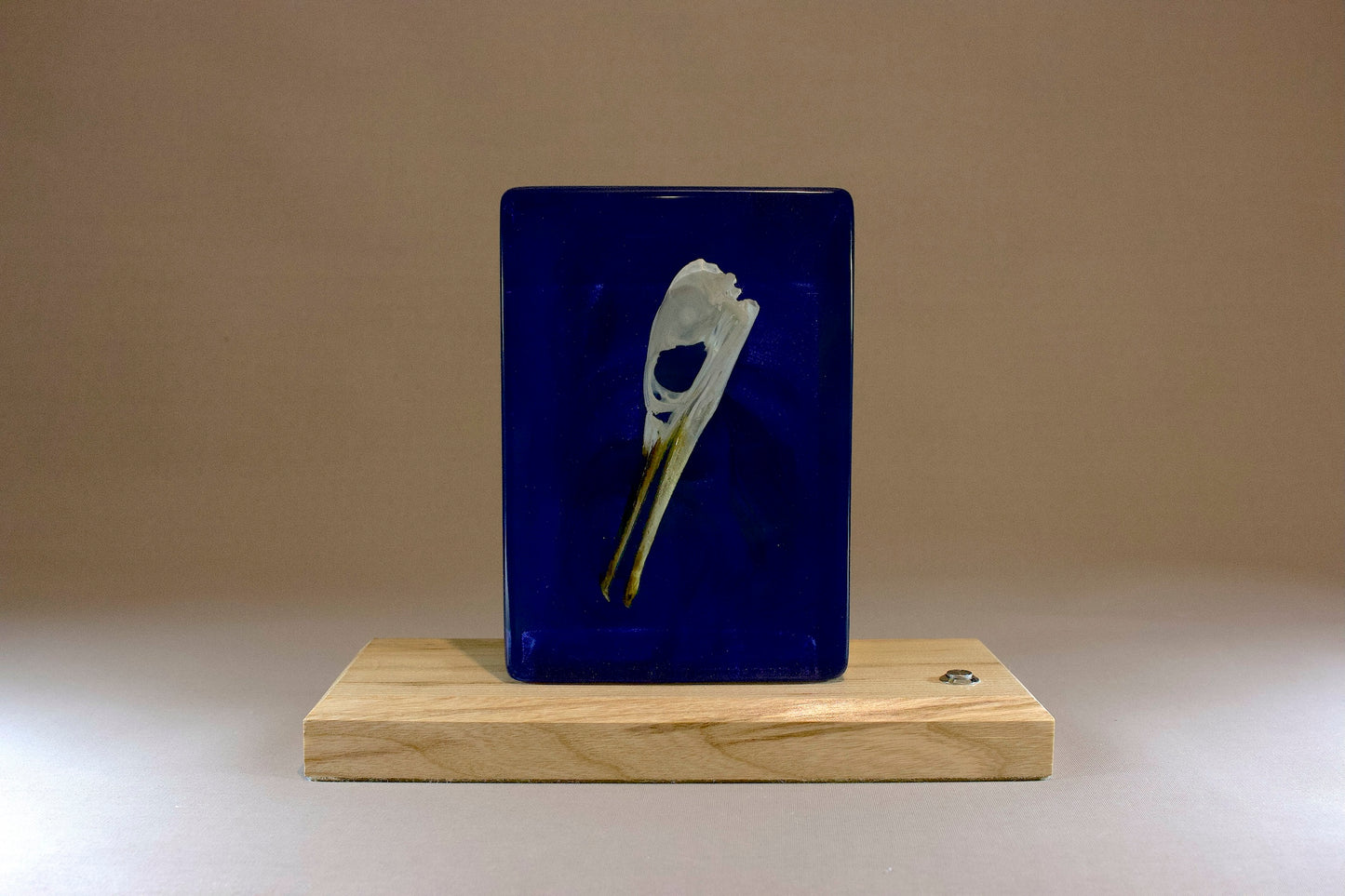 Bird in the Deep