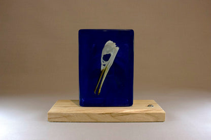 Bird in the Deep
