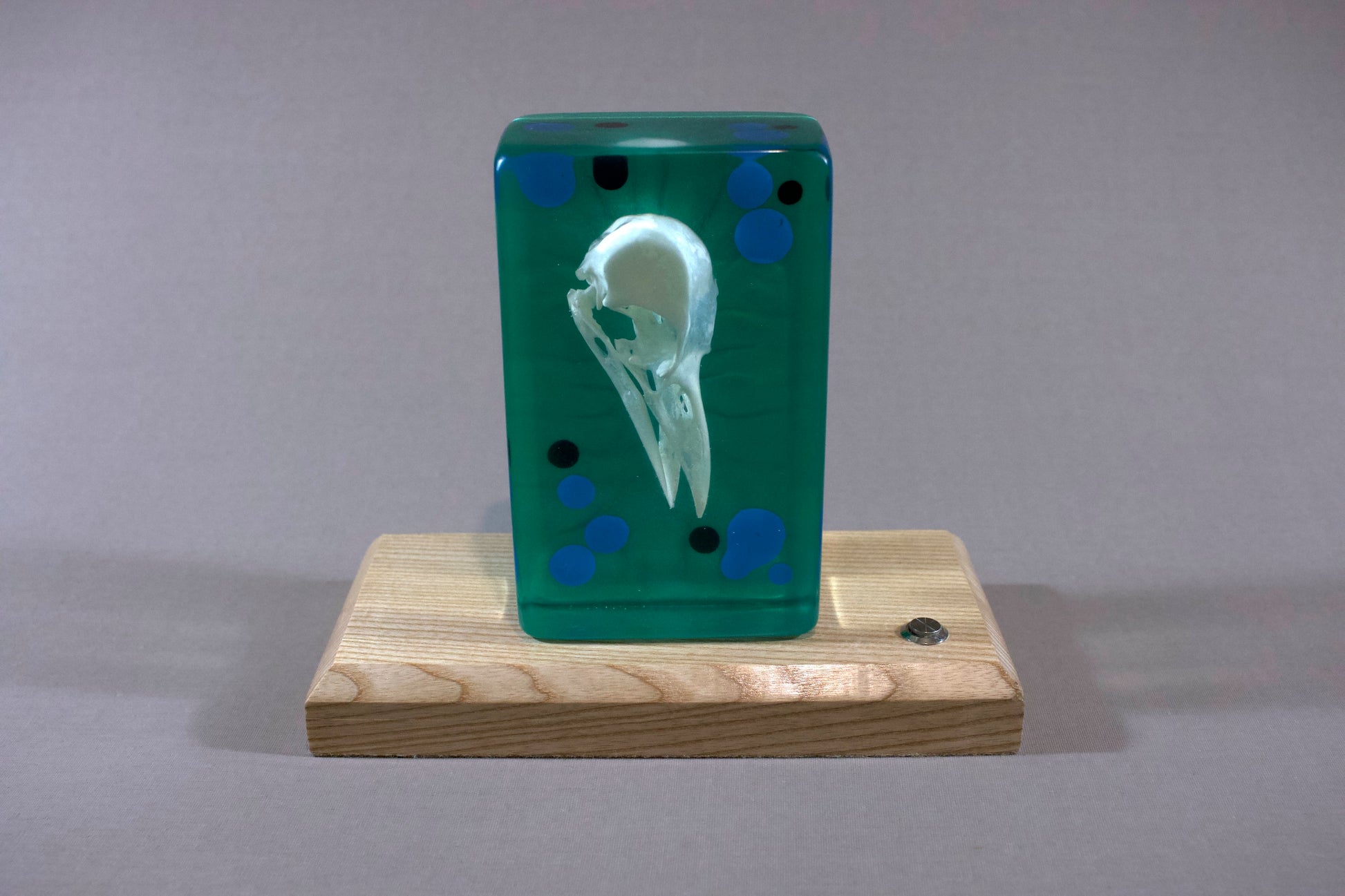 Resin sculpture with a crow skull against a green background, mounted on an illuminted ash wood base.