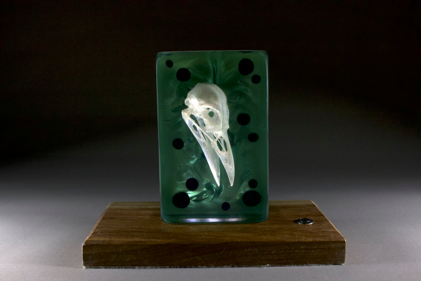 Crow on Emerald Swirl