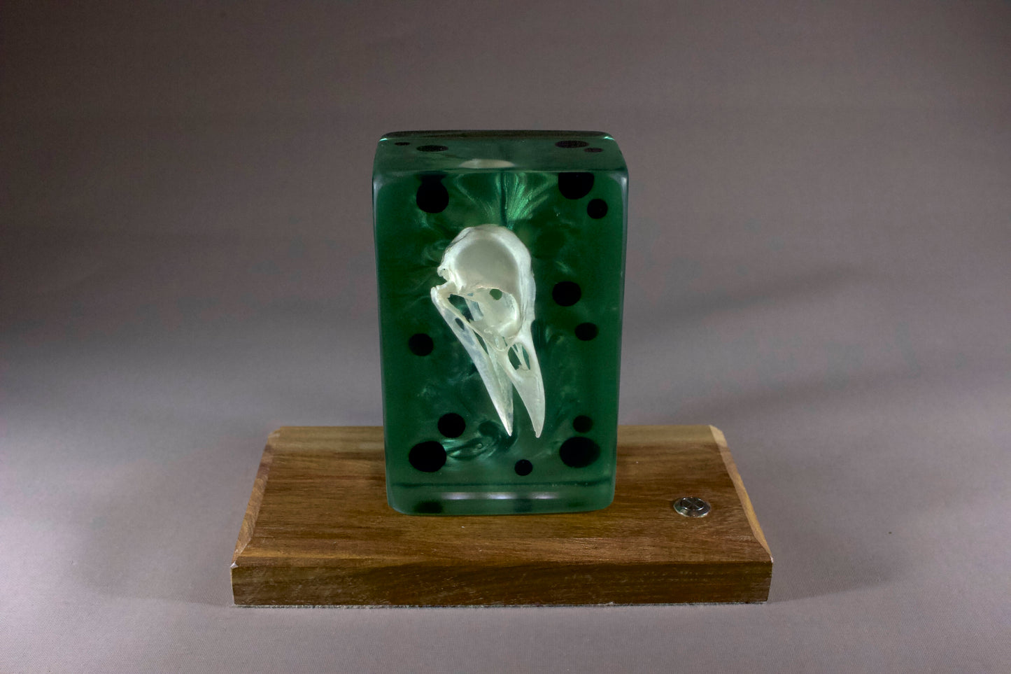 Crow on Emerald Swirl