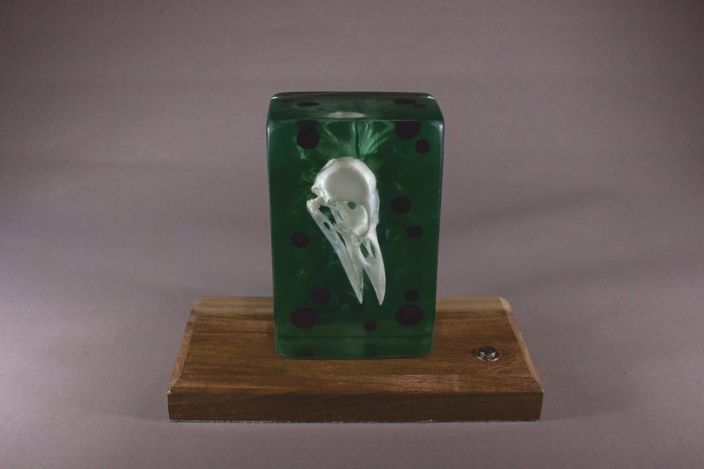 Crow on Emerald Swirl