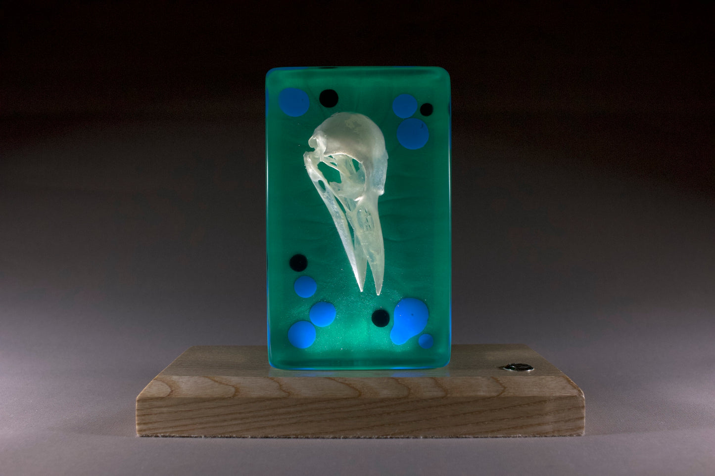 Resin sculpture with a bird skull on a green background, mounted on a wooden base.