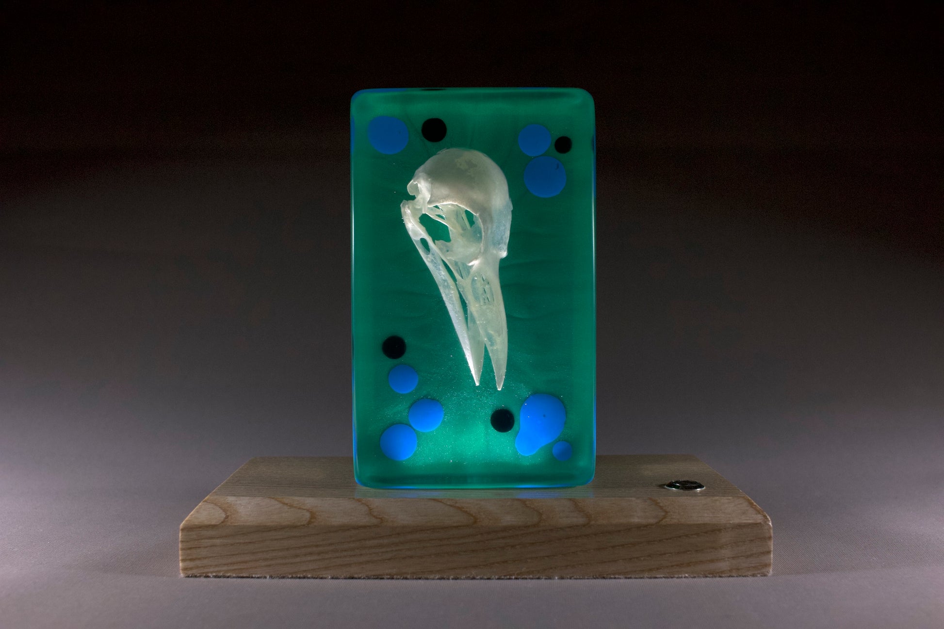 Resin sculpture with a bird skull on a green background, mounted on a wooden base.