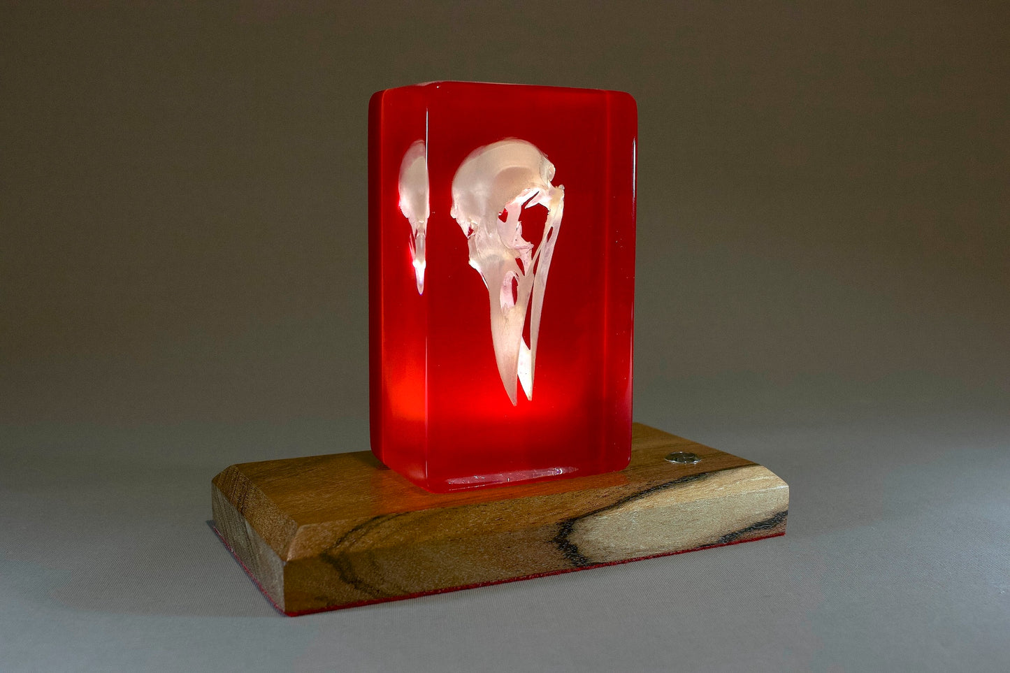 Crow on Red