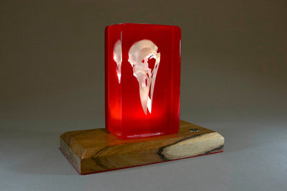 Crow on Red