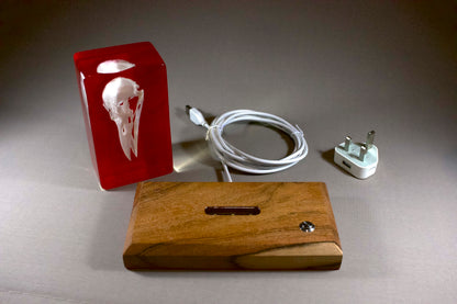 Crow on Red