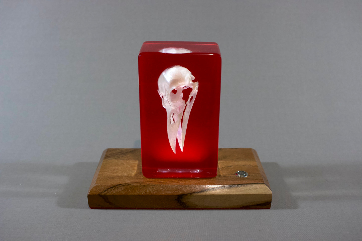 Crow on Red