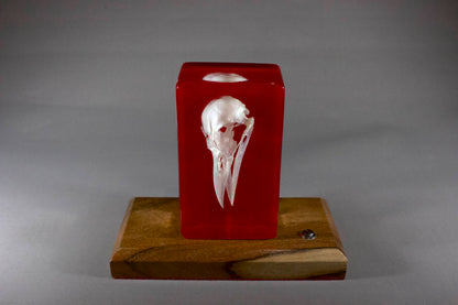 Crow on Red