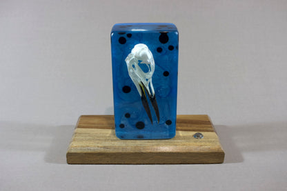Guillemot on Blue Swirl