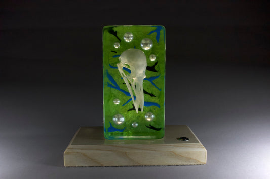Crow on Green & Pearl