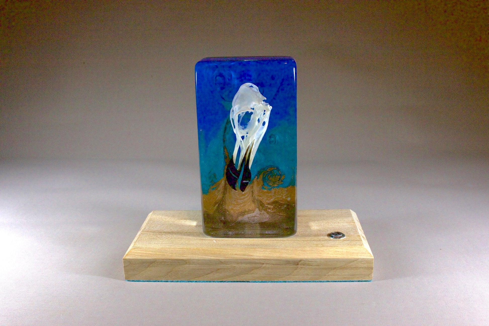Bird skull in resin against a turbulent blue background with a timber base